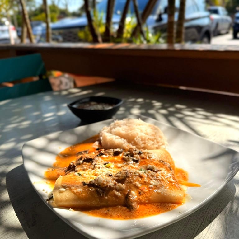 Enchiladas: A Flavorful Mexican Delight